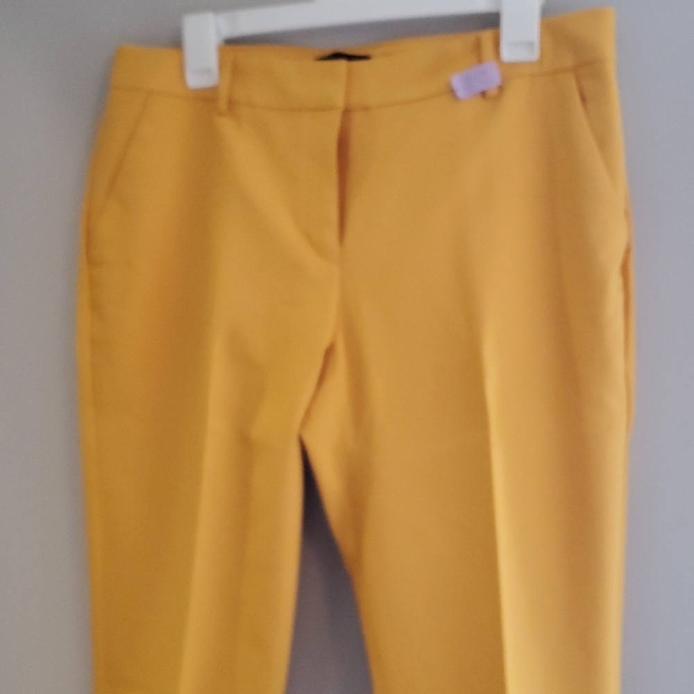 Dress pants